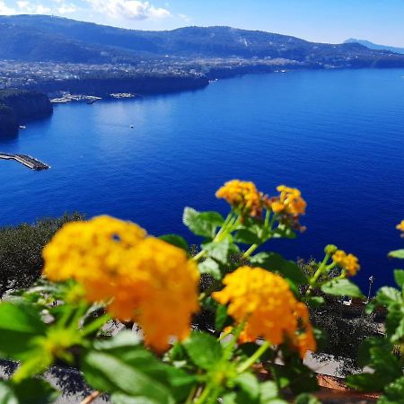 Bella Vista House-Sorrento Coast - Free Parking-Solarium Leilighet Vico Equense Eksteriør bilde